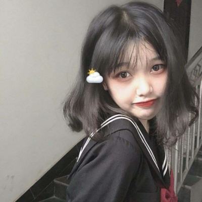 猫猫睡觉觉汉化版下载